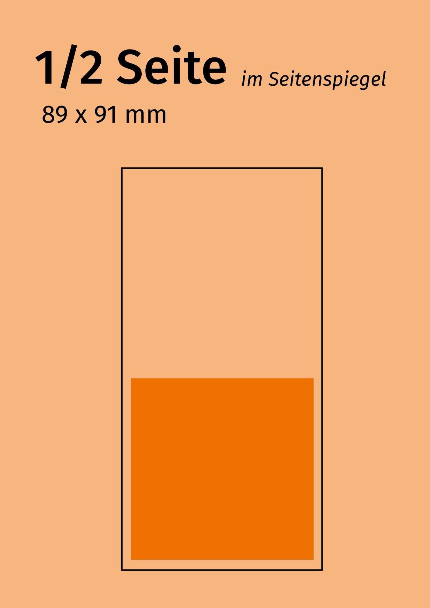 1 / 2 Seite (€ 380,-)